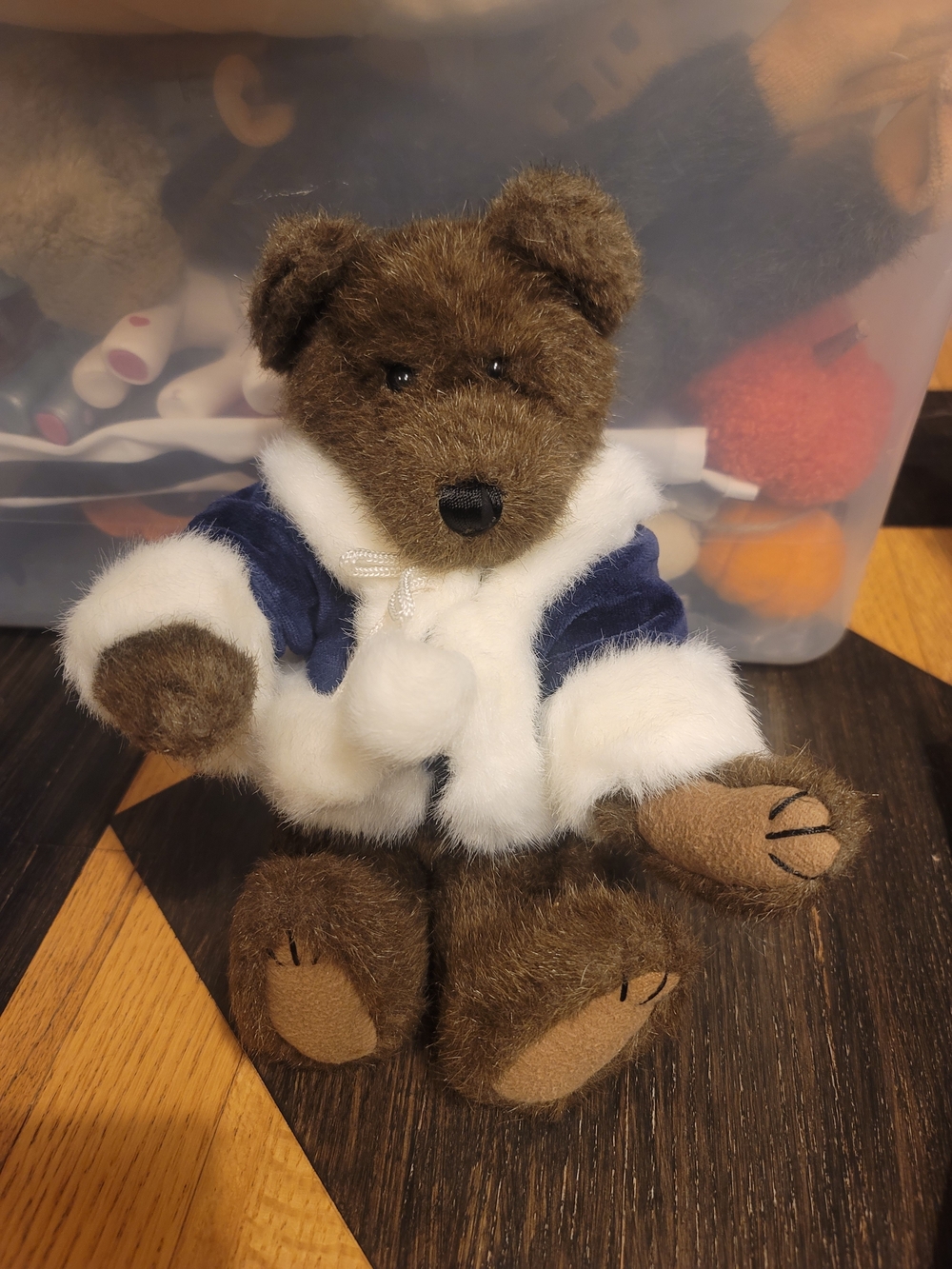 Boyd Bear